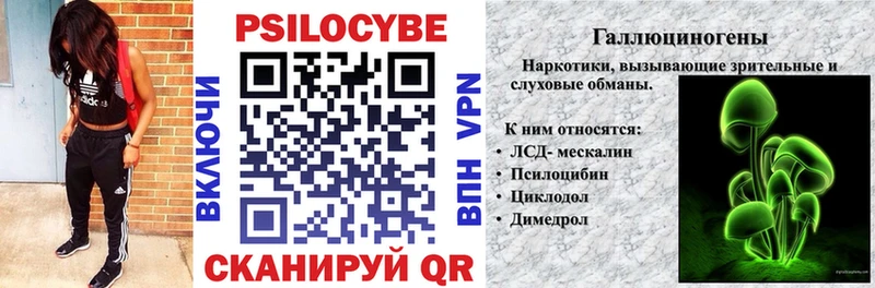 купить   Зуевка  Галлюциногенные грибы ЛСД 